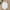 Trendy Baby Meisjes Kleding – Zachte Katoen – 0-24 Maanden