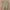 Baby Romper – Zomerse Mouwloze Jumpsuit voor Meisjes en Jongens