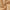 Kerst Baby Romper | Dikke Pluche Fawn One-Piece