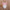 Camellia Ruffles Romper | Babykleding Meisjes Jumpsuit