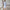 Asymmetrische Midirok Jurk met Strepen – Blauw, Wit & Oranje | 3/4 Mouwen