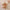 Kerst Baby Romper | Dikke Pluche Fawn One-Piece
